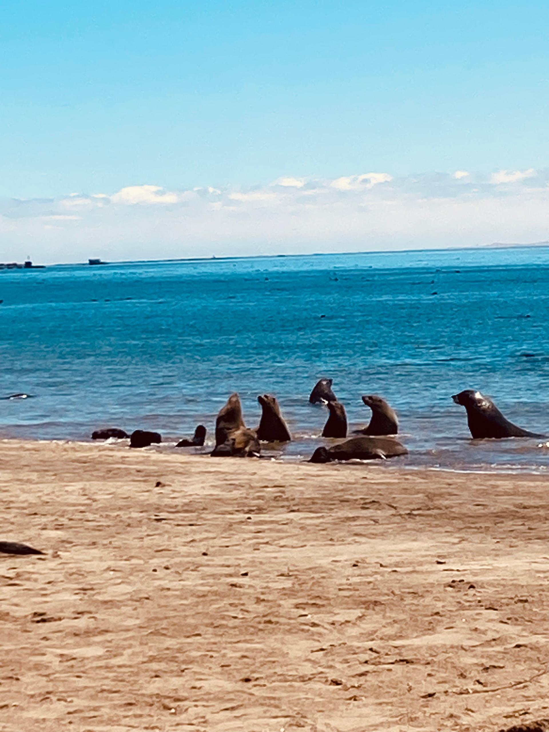 t93oaxCsqJC0ed-KanWUe3rXOtkwu94EMrqY_hHuBGI=_plaintext_638990024442144043